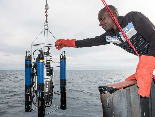 Sensor measurement of the water column with an array of a CTD and EXO probes